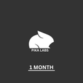 (1 month) Pika Labs